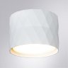 Наладной светильник Arte Lamp Fang A5552PL-1WH