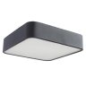 Светильник с лампочками Arte Lamp Cosmopolitan A7210PL-2BK+Lamps