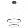 Подвесная люстра с пультом ДУ Arte Lamp Frodo A2197SP-2BK