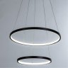 Подвесная люстра с пультом ДУ Arte Lamp Frodo A2197SP-2BK