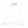 Подвесной светодиодный светильник St Luce OUT ST604.543.34
