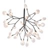 Подвесная люстра Crystal Lux Evita SP36 BLACK/TRANSPARENT (1690/236)