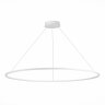 Подвесная светодиодная люстра St Luce OUT ST604.543.46