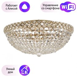 Потолочная люстра хрустальная Arti Lampadari Asti с поддержкой Алиса Asti E 1.2.50.100 G-A
