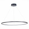 Подвесная светодиодная люстра St Luce IN ST603.443.46