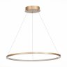 Подвесной светодиодный светильник St Luce IN ST603.243.34