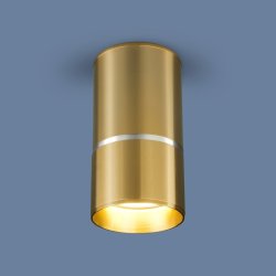 Накладной потолочный светильник Elektrostandard DLN106 GU10 золото (a047732)