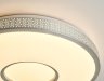 Потолочная светодиодная люстра с пультом д/у Ambrella light Design FF81