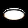 Настенно-потолочный светодиодный диммируемый светильник с пультом ДУ Sonex Klapa 3045/EL