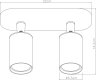Спот Arte Lamp Aquarius A3226PL-2WH
