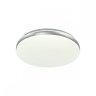 Настенно-потолочный светильник Sonex Ringo 7625/DL