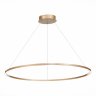 Подвесная светодиодная люстра St Luce Down ST605.243.46