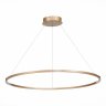 Подвесная светодиодная люстра St Luce Down ST605.243.46