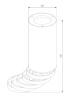 Потолочный накладной светильник Elektrostandard DLN102 GU10 черный/золото (a047747)