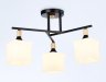 Потолочный светильник Traditional Ambrella light TR9493