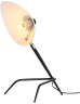 Настольная лампа ST Luce Spruzzo SL305.404.01