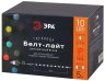Уличная светодиодная гирлянда ЭРА Белт Лайт 220V динамический RGB ERABL-MK52 Б0047956