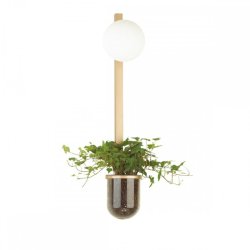 Настенный светильник Odeon Light Flower 4682/1WB