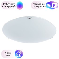 Настенно-потолочный светильник Arte Lamp Plain с поддержкой Маруся A3720PL-3CC-М