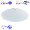 Настенно-потолочный светильник Arte Lamp Plain с поддержкой Маруся A3720PL-3CC-М