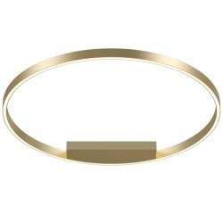 Потолочный светодиодный светильник Maytoni Technical Rim MOD058CL-L50BS4K