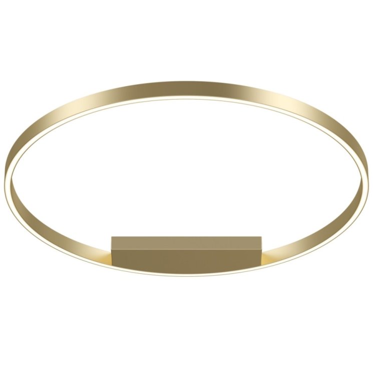 Потолочный светодиодный светильник Maytoni Technical Rim MOD058CL-L50BS4K