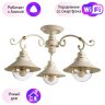 Потолочная люстра Arte Lamp 7 с поддержкой Алиса A4577PL-3WG-A