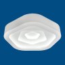 Потолочная светодиодная люстра с пультом ДУ Fametto Nimfea DLC-N504 62W IRON/WHITE