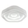 Потолочная светодиодная люстра с пультом ДУ Fametto Nimfea DLC-N504 62W IRON/WHITE