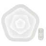Потолочная светодиодная люстра с пультом ДУ Fametto Nimfea DLC-N504 62W IRON/WHITE