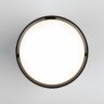 Накладной светодиодный светильник Elektrostandard DLR024 6W 4200K Черный жемчуг (a053055)