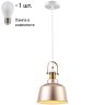 Подвесной светильник с лампочкой Velante 390-406-01+Lamps E27 P45
