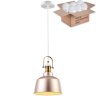 Подвесной светильник с лампочкой Velante 390-406-01+Lamps E27 P45