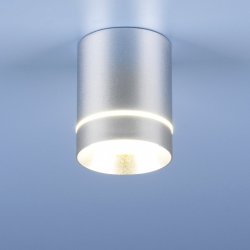 DLR021 9W 4200K хром матовый Накладной светодиодный светильник Elektrostandard (a037519)