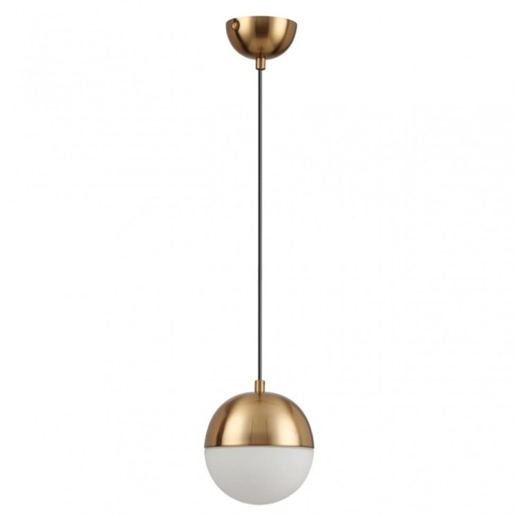 Подвесной светильник Pinga Odeon Light 4960/1