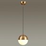 Подвесной светильник Pinga Odeon Light 4960/1