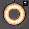 Светодиодный спот Arte Lamp 12 A8971PL-4CC