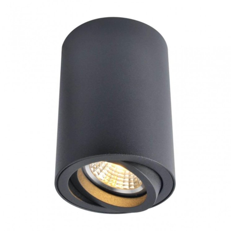 Накладной светильник Arte Lamp Sentry A1560PL-1BK