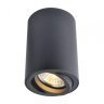 Накладной светильник Arte Lamp Sentry A1560PL-1BK