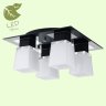 Потолочная люстра Lussole Lente GRLSC-2507-04