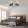 Подвесная люстра Peony Eurosvet 60136/6 хром/графит