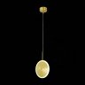 Подвесной светодиодный светильник ST Luce Imente SL1221.203.01