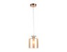 Подвесной светильник Ambrella light Traditional TR3578