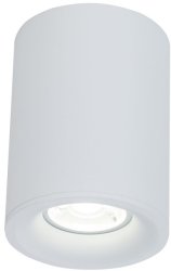 Потолочный светильник Maytoni Alfa C012CL-01W