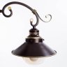Люстра потолочная Arte Lamp 7 с поддержкой Алиса A4577PL-3CK-A