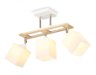 Потолочный светильник Traditional Ambrella light TR9505