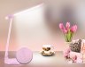 Настольная светодиодная лампа с ночником Ambrella light Desk DE551