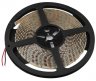 5м. Светодиодная лента ЭРА 9,6W/m 120LED/m 2835SMD холодный белый 5M LS2835-9,6-120-12-6500K-IP20-2year-5m Б0044114