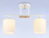 Потолочный светильник Traditional Ambrella light TR9541