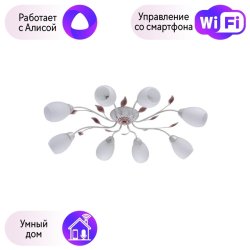 Потолочная люстра MW-Light Восторг с поддержкой Алиса 242016508-A